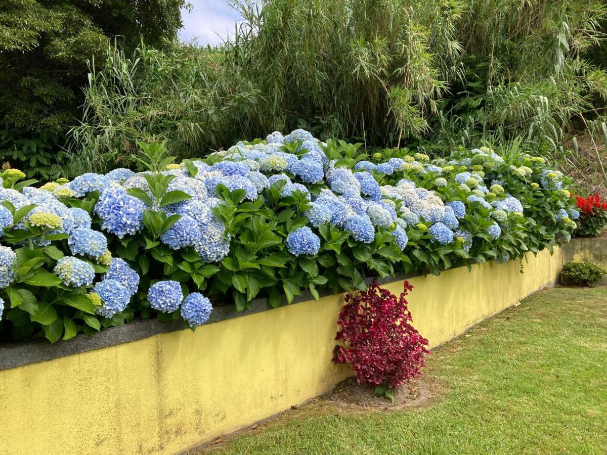 Quinta Das Palmeiras Povoacao  Extérieur photo