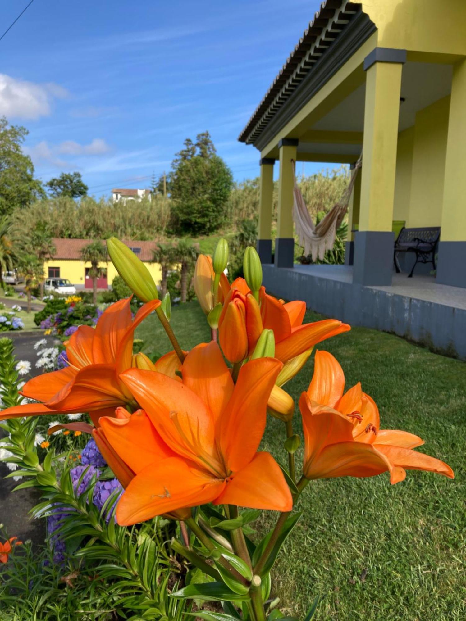 Quinta Das Palmeiras Povoacao  Extérieur photo