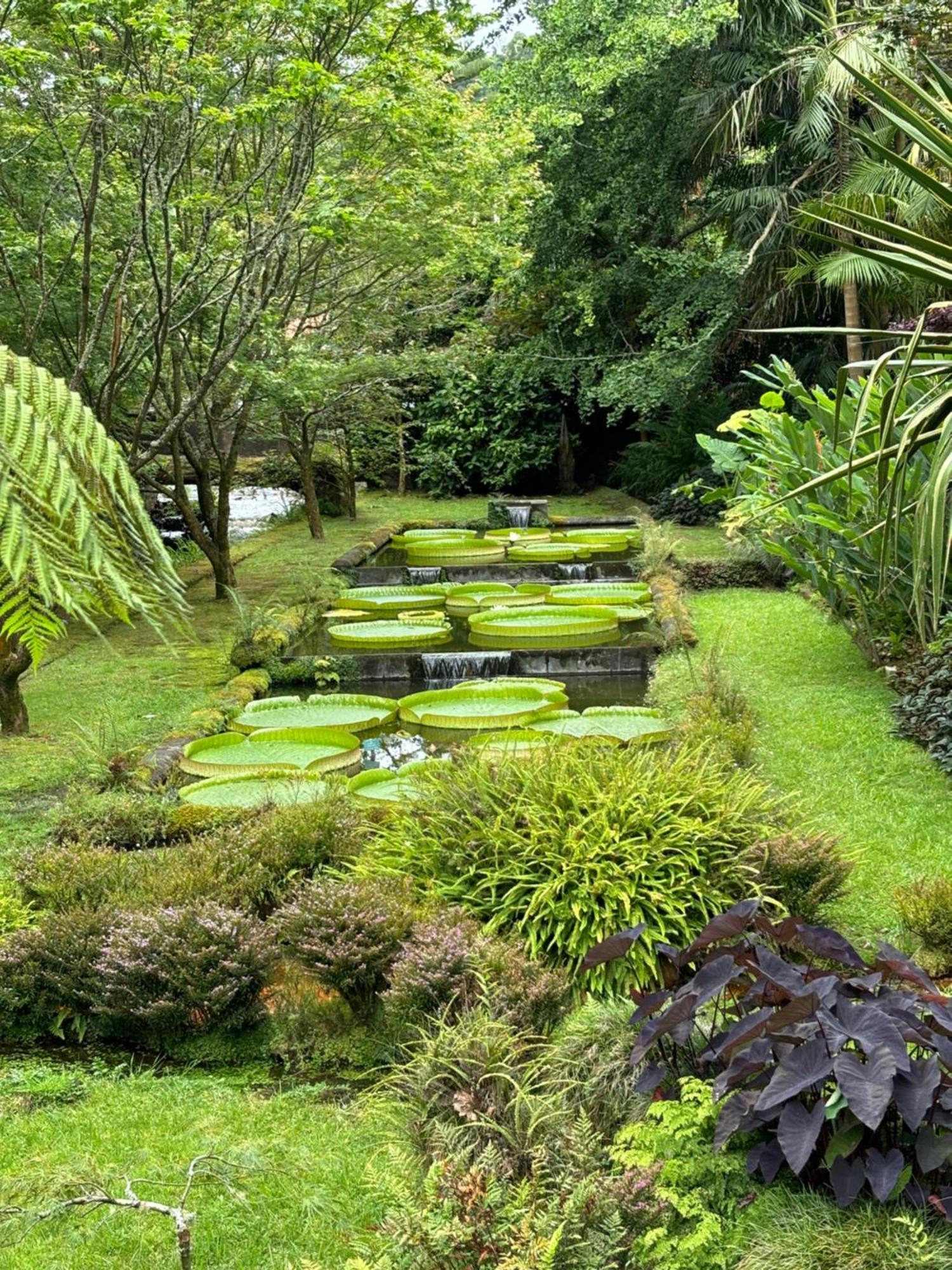 Quinta Das Palmeiras Povoacao  Extérieur photo