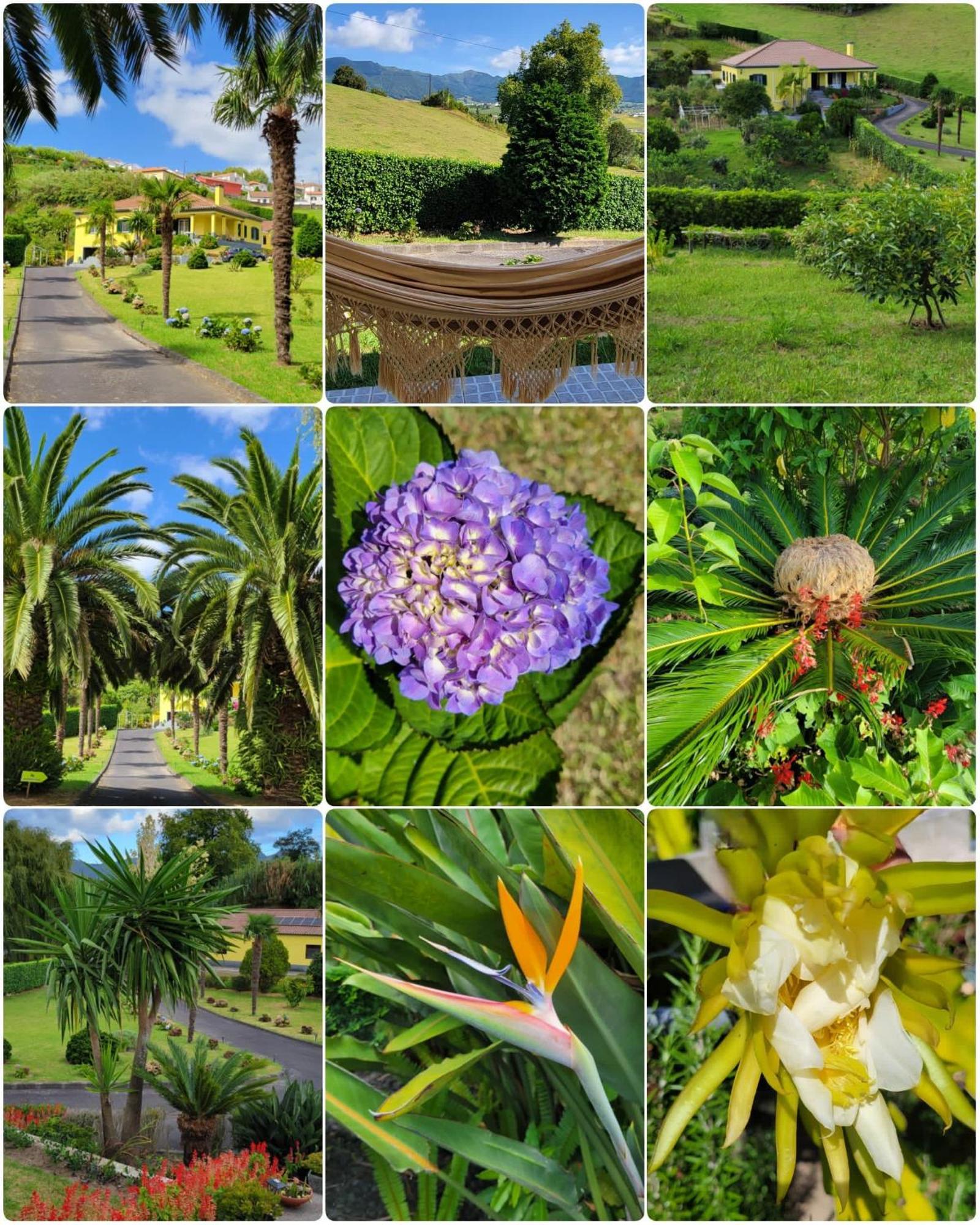 Quinta Das Palmeiras Povoacao  Extérieur photo